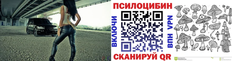 darknet какой сайт  наркотики  Костерёво  Галлюциногенные грибы Psilocybine cubensis 